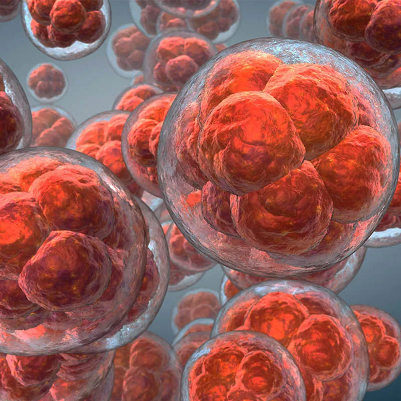 Types of Stem Cells Used in Bogotá Therapy